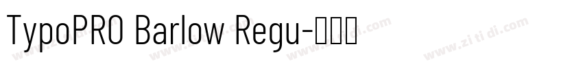 TypoPRO Barlow Regu字体转换